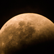Illustration for article titled 34 Amazing Photos Of The Super Blood Moon